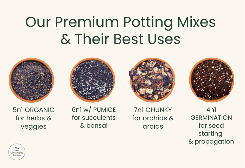Which soil mix do you use? Cebu Happy Growers soil series featuring 5-in-1 Organic, 6-in-1 with Pumice, and 7-in-1 Chunky potting mixes for different plants.