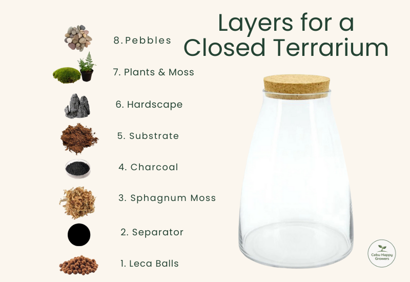 Glass terrarium showing proper soil layering using breathable terrarium soil