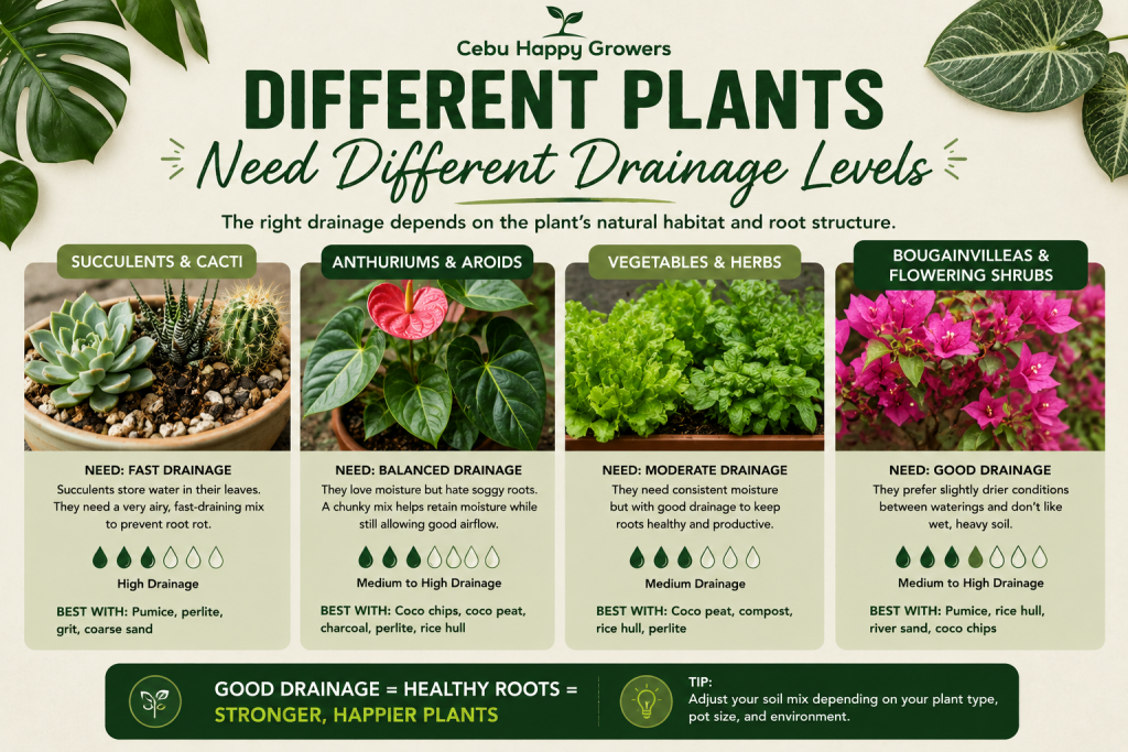 Different plants requiring different drainage levels including succulents, anthuriums, vegetables, and bougainvilleas.