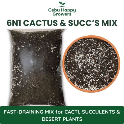 6n1 Cactus and Succulents Mix – premium soil-free blend by Cebu Happy Growers for bonsai, succulents, adenium, and desert plants