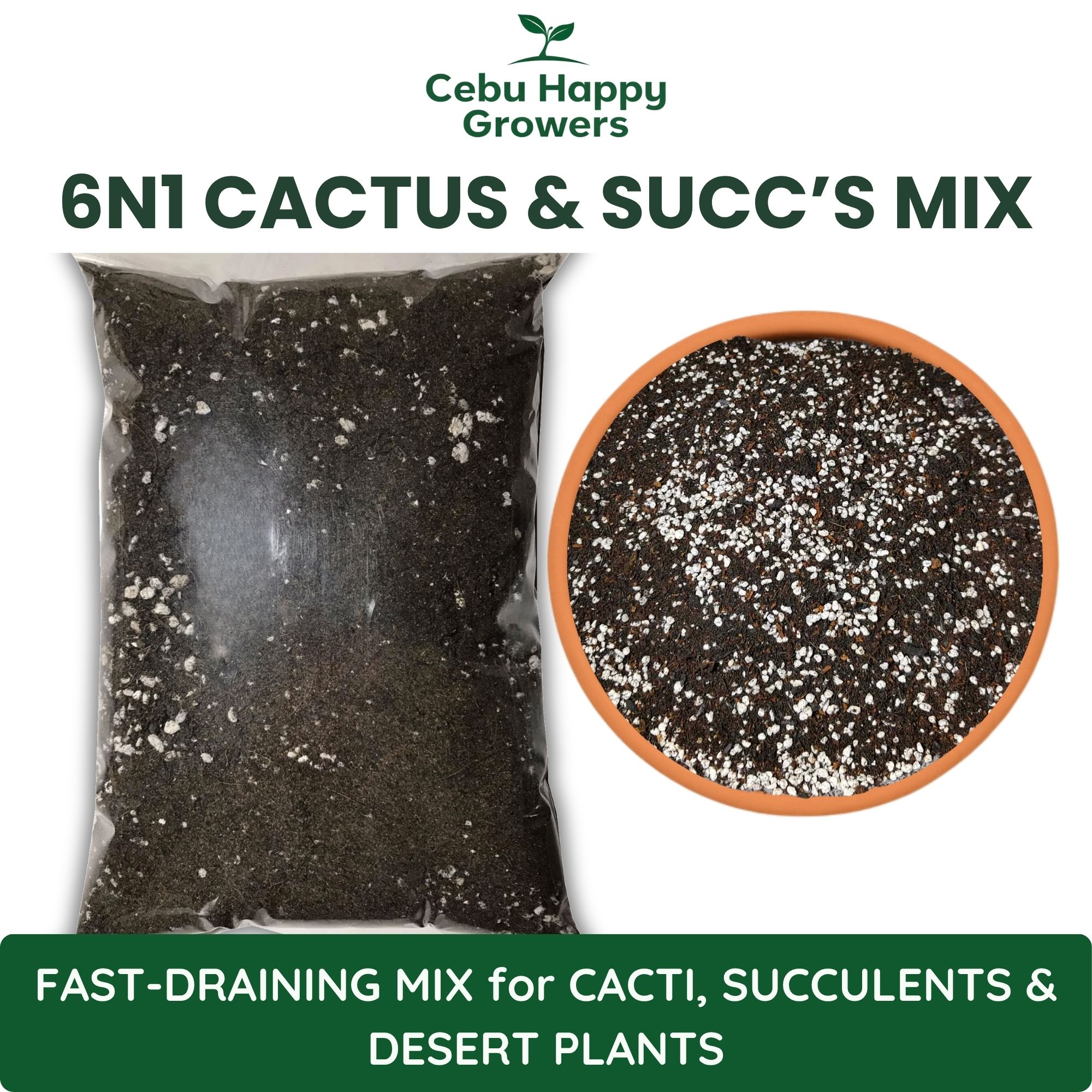 6n1 Cactus and Succulents Mix – premium soil-free blend by Cebu Happy Growers for bonsai, succulents, adenium, and desert plants