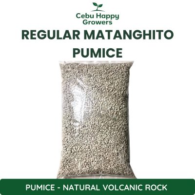 Regular Pumice Matanghito Size – fine natural volcanic rock for soil drainage and aeration.