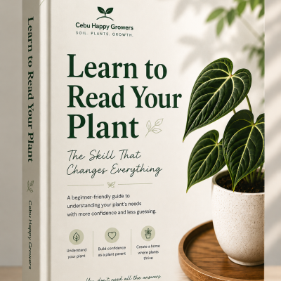 Learn to Read Your Plants Through Soil