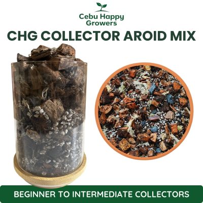Cebu Happy Growers Collector Premium Aroid Mix chunky tropical substrate for Monsteras Philodendrons and Anthuriums