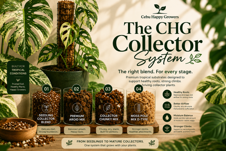 CHG Collector System premium tropical aroid substrate blends for collector plants in the Philippines