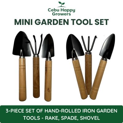 3-piece mini garden tool set with wooden handles for repotting and indoor plant care.