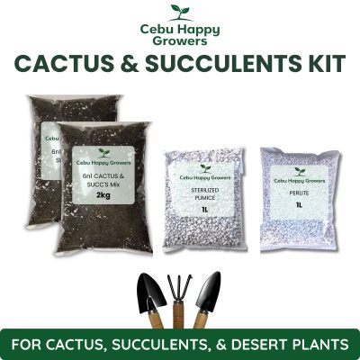 CHG Cactus and Succulent Repotting Kit with cactus mix, pumice, and perlite for improved drainage.