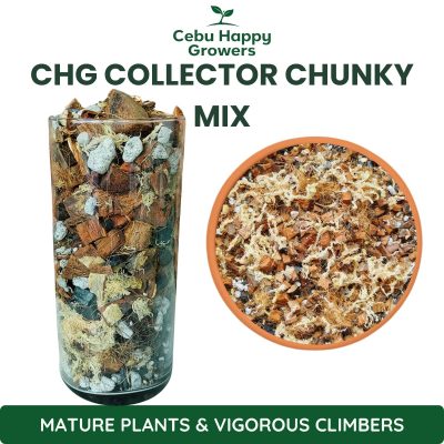 CHG Collector Chunky Mix premium chunky substrate for mature Monsteras, Philodendrons, Anthuriums, and vigorous climbing aroids.