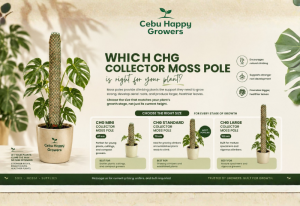 CHG Collector Moss Pole size guide showing Mini 40cm, Standard 70cm, and Large 100cm moss poles for Monstera, Philodendron, and climbing aroids.