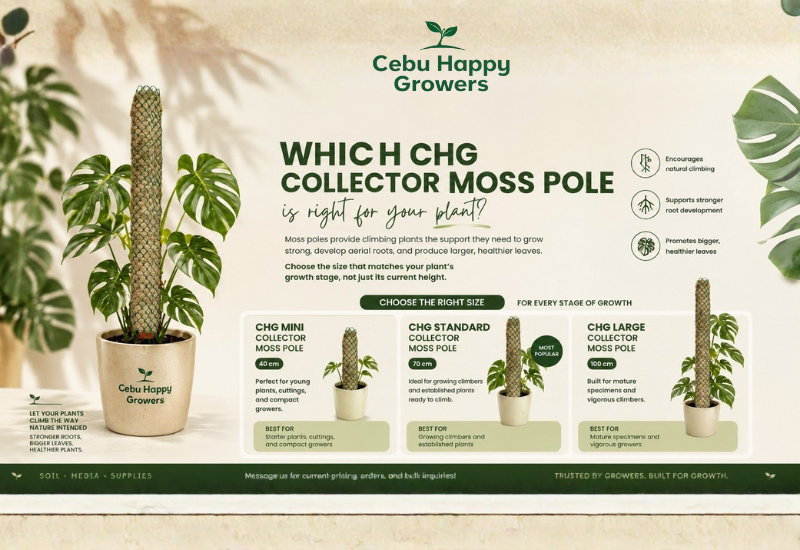 CHG Collector Moss Pole size guide showing Mini 40cm, Standard 70cm, and Large 100cm moss poles for Monstera, Philodendron, and climbing aroids.