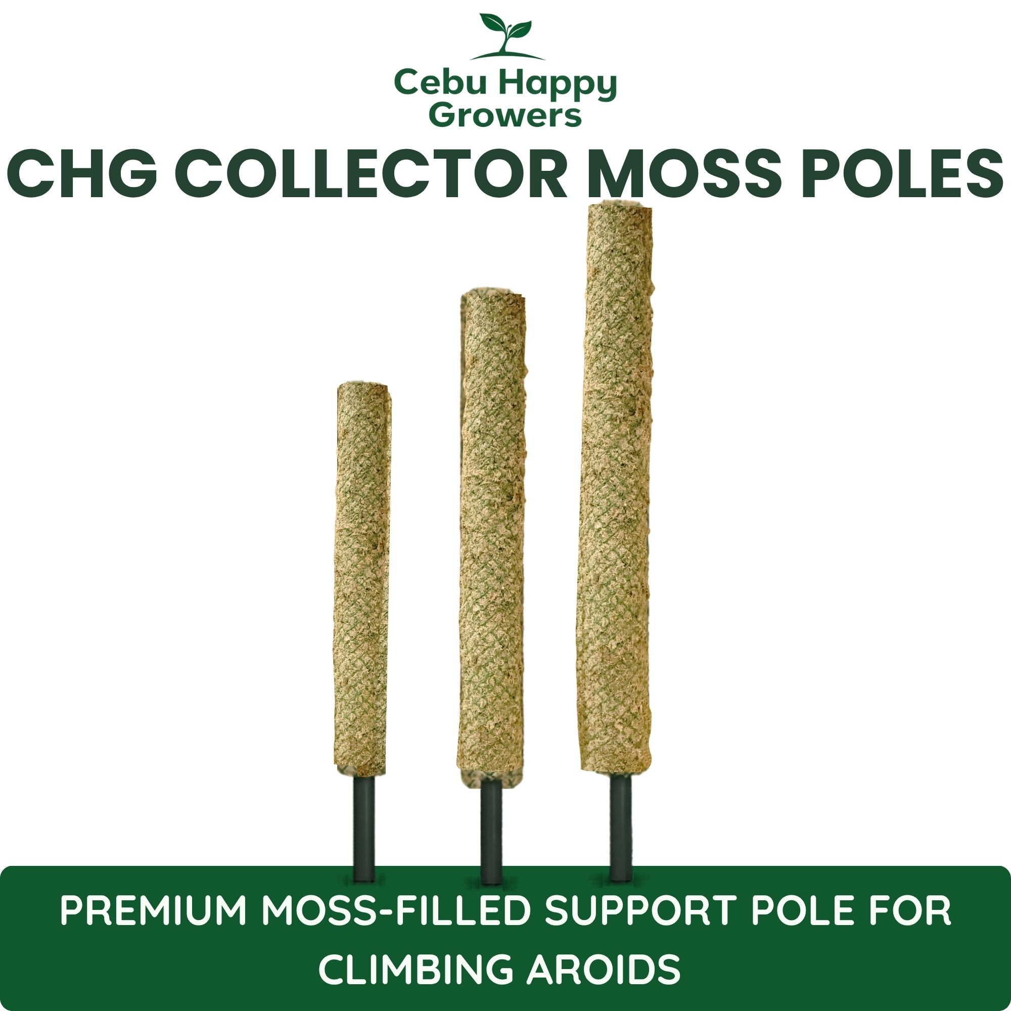 CHG Collector Moss Pole available in Mini 40cm, Standard 70cm, and Large 100cm sizes for climbing aroids and tropical plants.