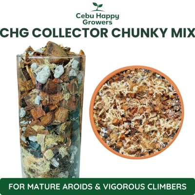 CHG Collector Chunky Mix premium chunky substrate for mature Monsteras, Philodendrons, Anthuriums, and vigorous climbing aroids.