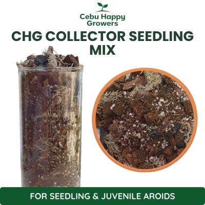 CHG Collector Seedling Blend premium growing mix for young, juvenile, and intermediate aroids