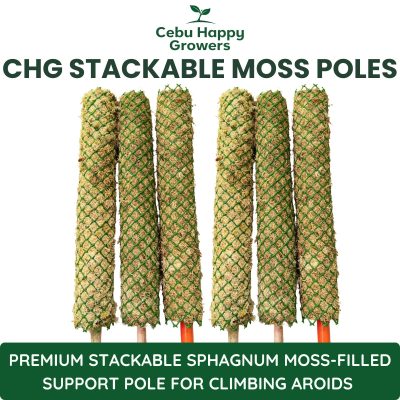 CHG 40x6cm stackable sphagnum moss pole made with premium sphagnum moss for climbing aroids