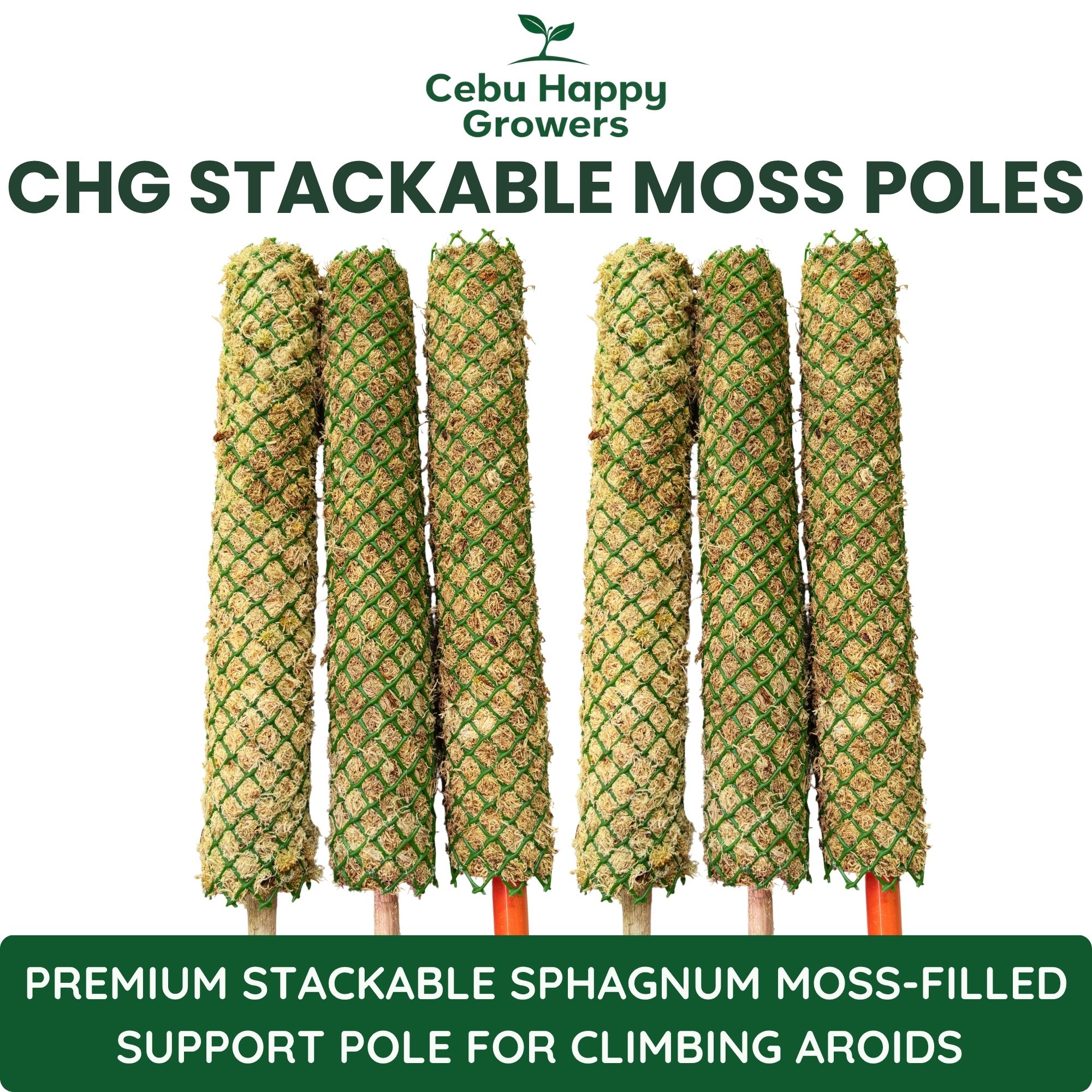 CHG 40x6cm stackable sphagnum moss pole made with premium sphagnum moss for climbing aroids